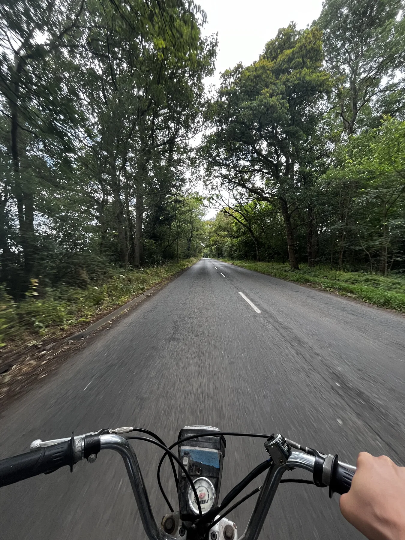 View from the Puch Maxi while riding at 30 miles per hour